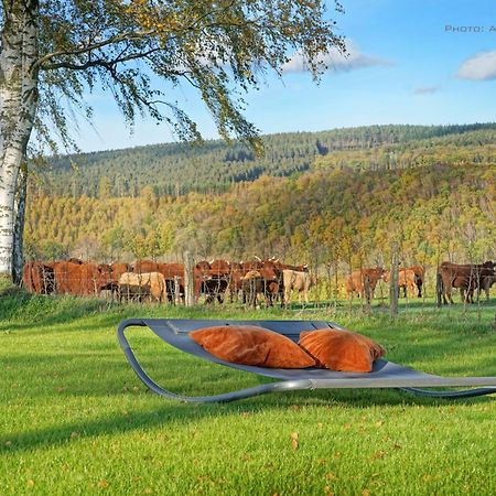 Gite Altitude 399 A Trois-Ponts Basse-Bodeux Zewnętrze zdjęcie