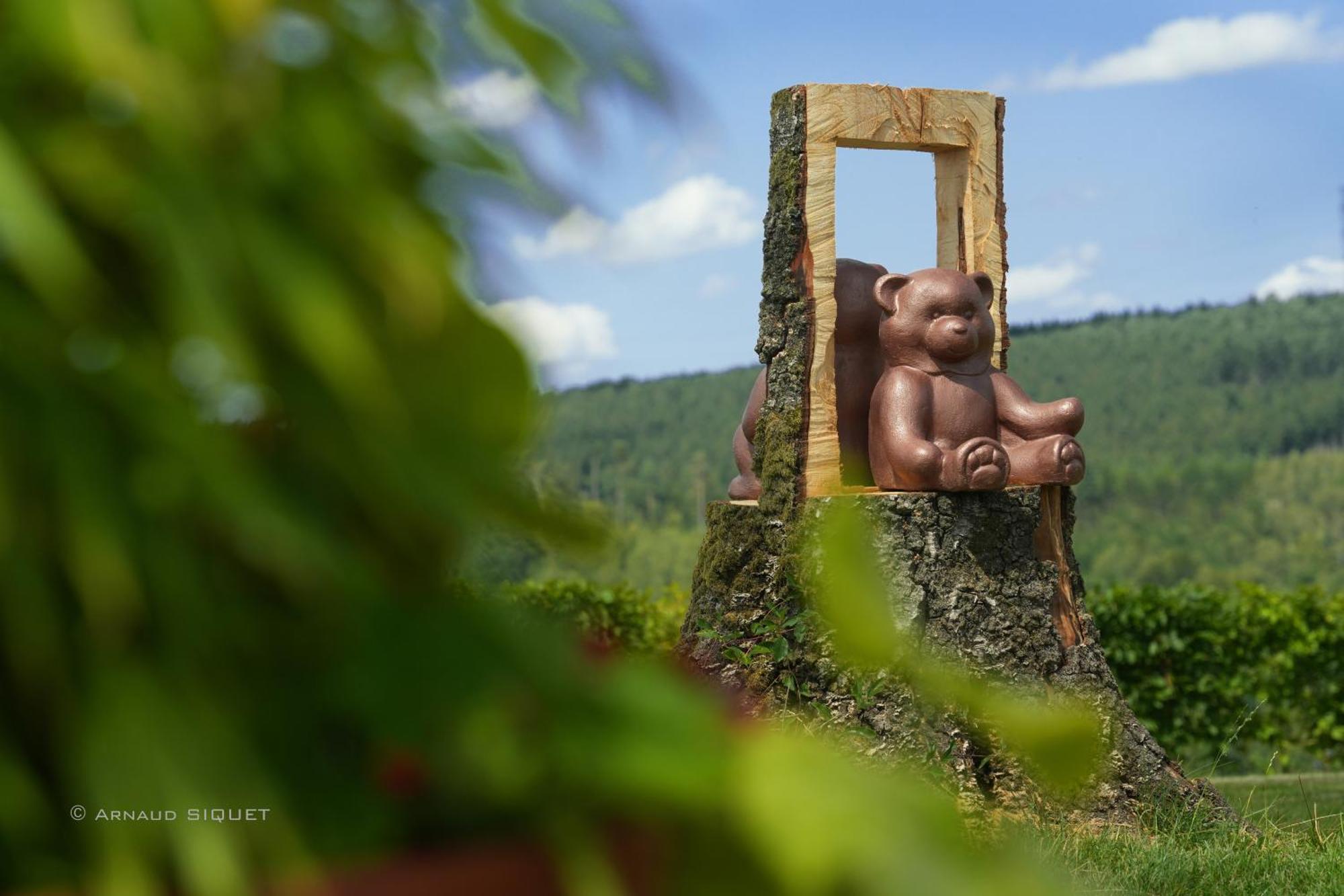 Gite Altitude 399 A Trois-Ponts Basse-Bodeux Zewnętrze zdjęcie